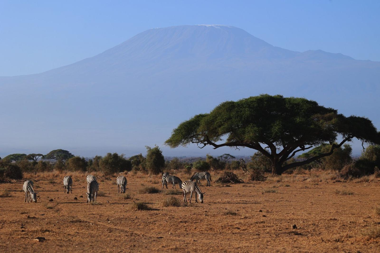 Amboseli at dawn
