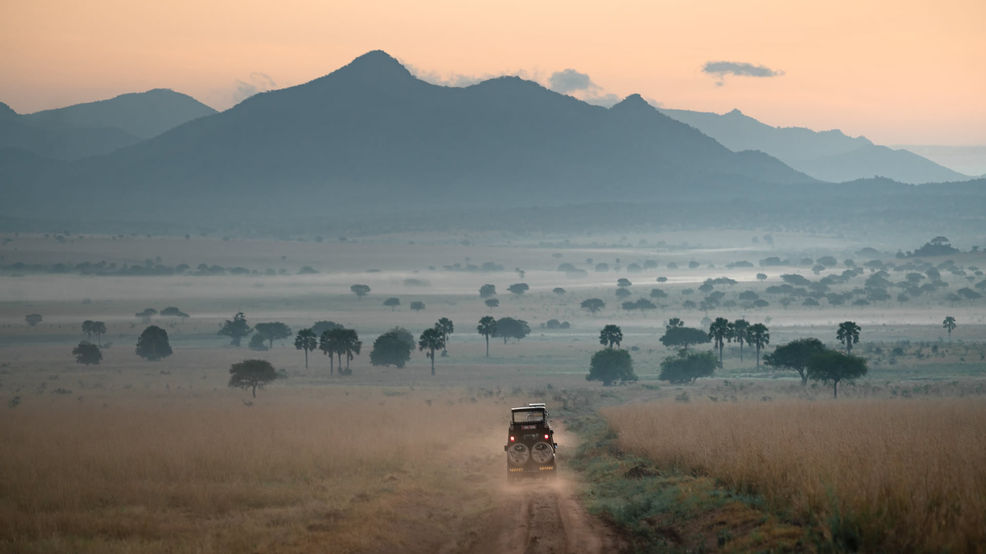 Safari landscape