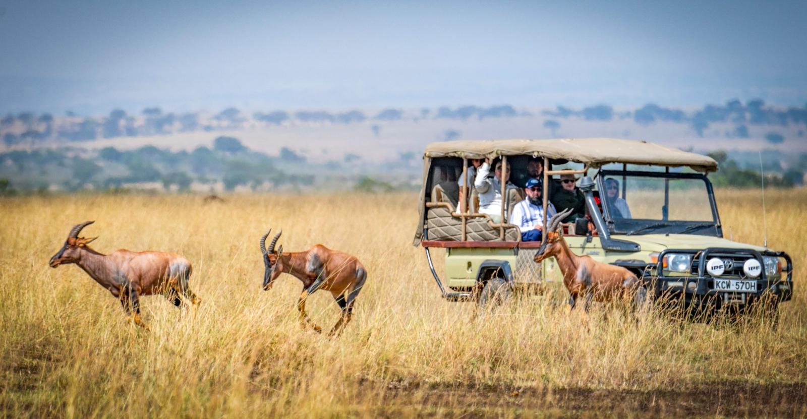 Laikipia Wilderness Conservancy Safari gallery