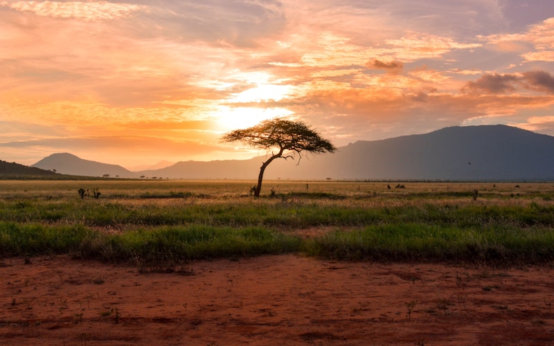 Ngorongoro Crater Expedition gallery