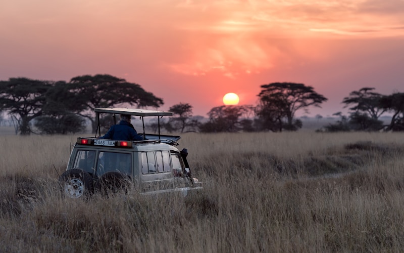 Ngorongoro Crater Expedition gallery