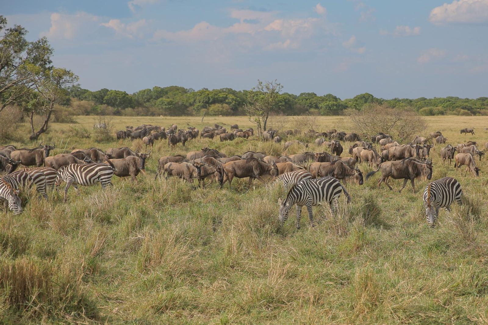 Serengeti National Park