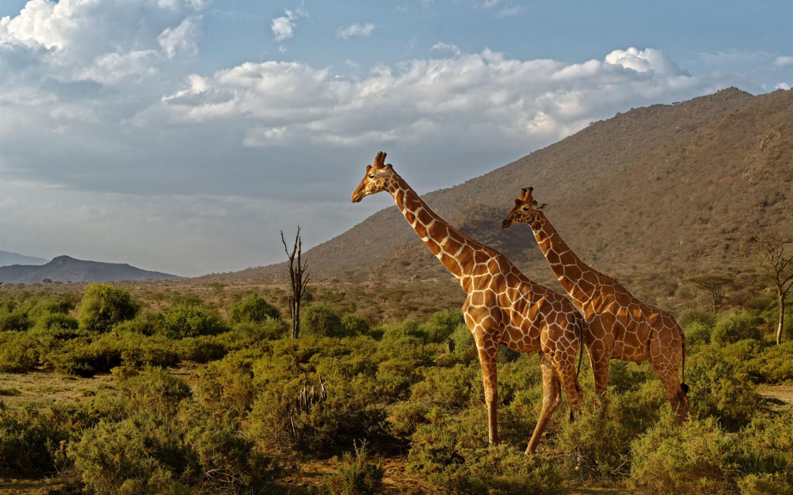 Tsavo East and West Wilderness Trail gallery