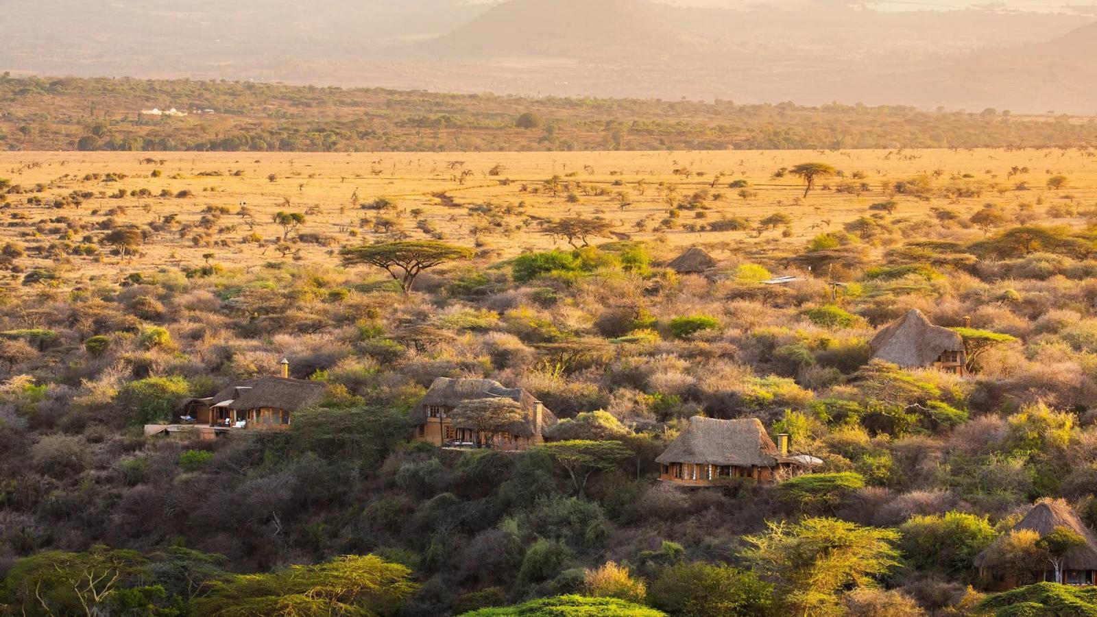 Safari experience