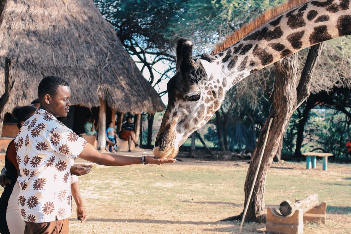 Family Safari Adventure